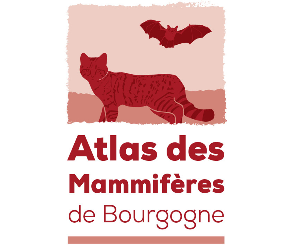Logo Atlas des Mammifères de Bourgogne