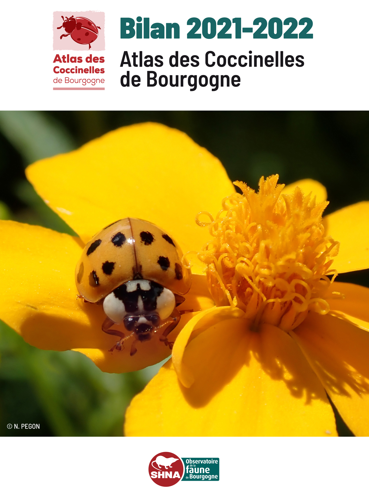 Atlas des Coccinelles de Bourgogne · Bilan 2021-2022