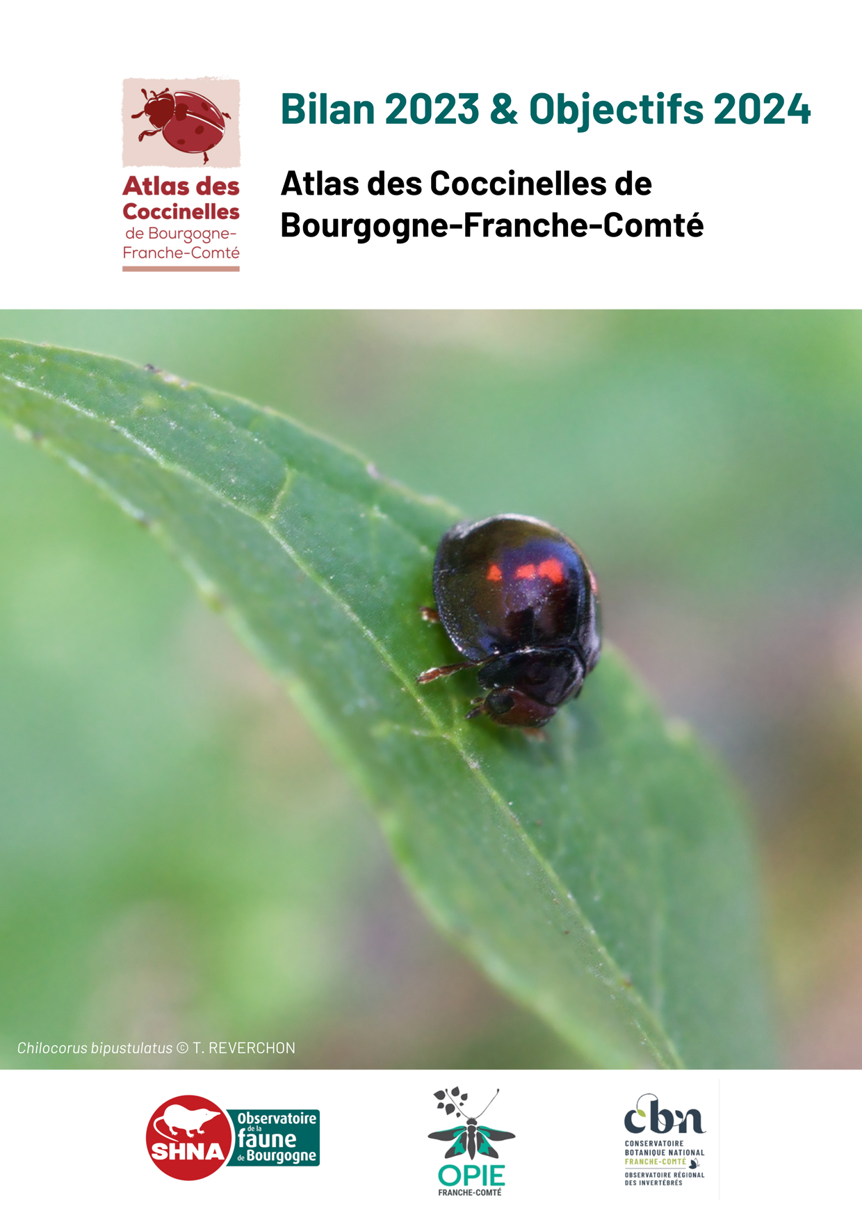 Atlas des Coccinelles de Bourgogne · Bilan 2023 & objectifs 2024