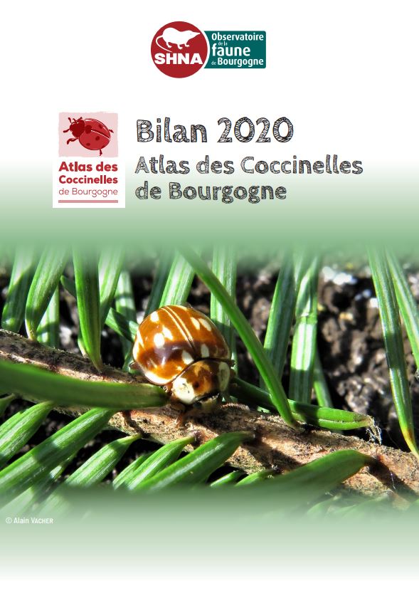 Atlas des Coccinelles de Bourgogne · Bilan 2020
