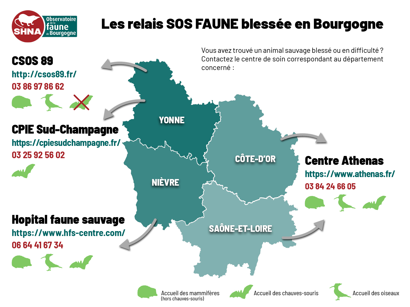 Les relais SOS FAUNE blessée en Bourgogne