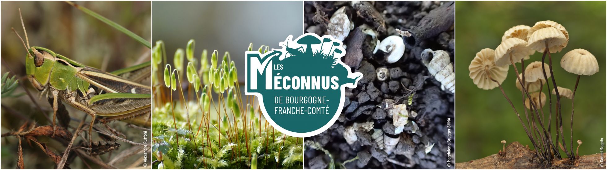 Les M&eacute;connus de BFC